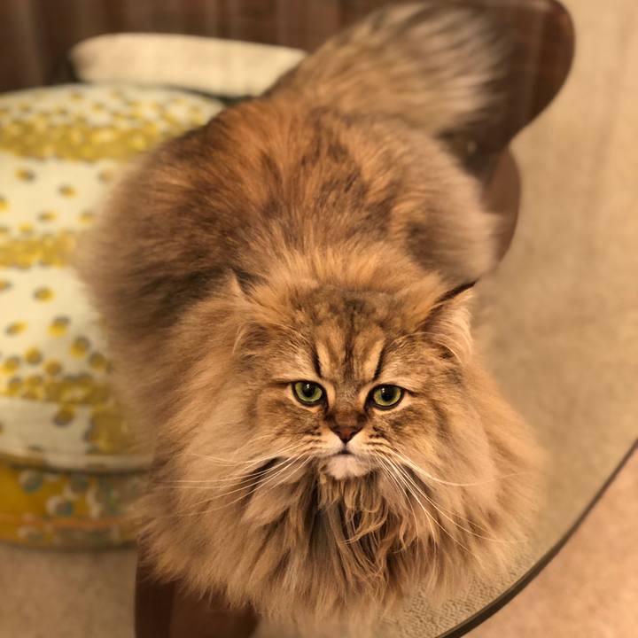 063ce313 6feb 4538 8d72 1ddc0bf0688b 1520134726012