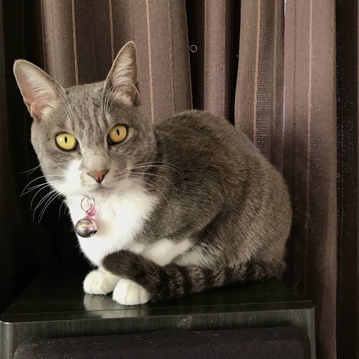 063d1671 8df4 435a b955 81fd8902b861 1516456002374