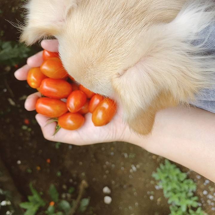 063d3344 ad36 40bd a77a 8ed2124bae17 1596086224168