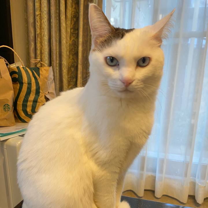 063d4036 60b9 421d a803 2f2356663eea 1738105831014