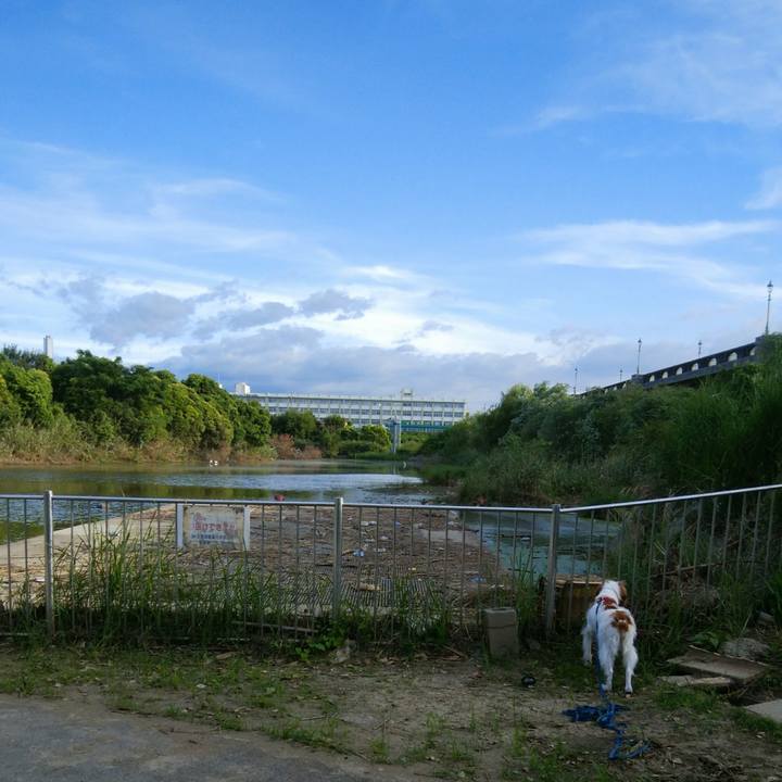 063d4e88 f47d 4f27 bb8c 5f79b902cc87 1534764819524