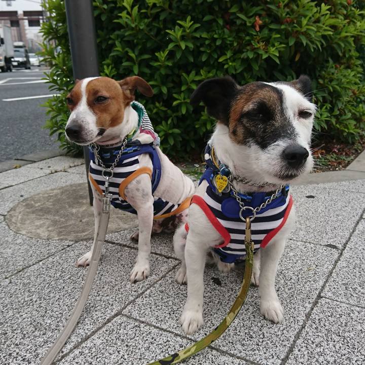 063d8419 7615 47be aa53 2c91f190007e 1559859590046