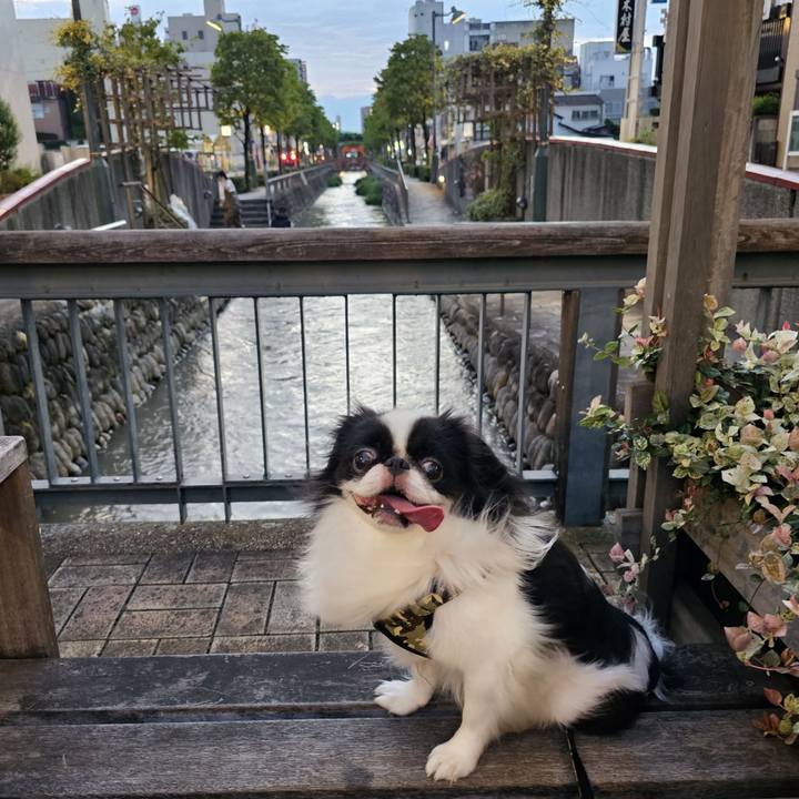 063d8f34 ce17 4f1f a0b7 47eae388e944 1692181655561