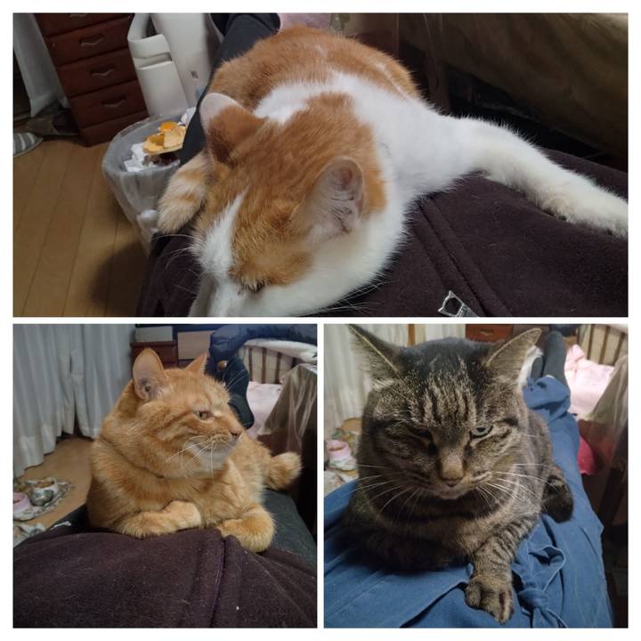 063d9958 4562 4475 ab79 c7f769d0fd65 1767258288351