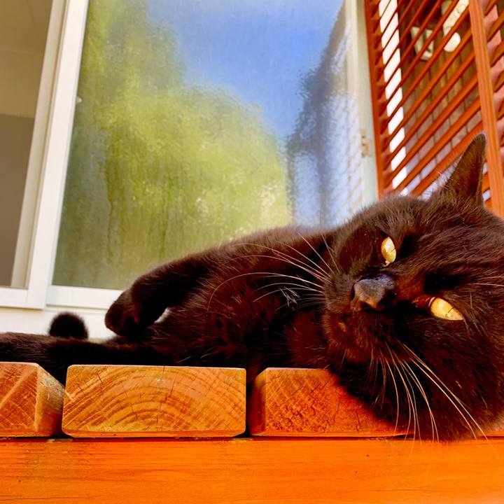 063dc32c 9305 4c3a 8f6c bb0c563667e3 1542517843080