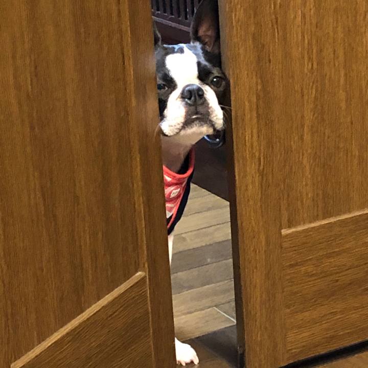 063dca55 90fe 4179 a5c2 9455123ef38b 1607432484315