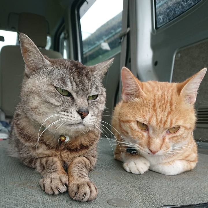 063dd9e0 9086 4f6f 8cc4 21bde221a792 1563089029116