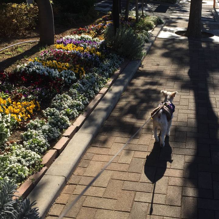 063df850 4c02 40b4 99cd c45a0a01dedc 1546064239031