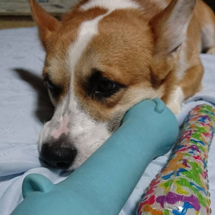 063e013e 5c64 40f3 9341 91b453a5b1fa 1573382456084