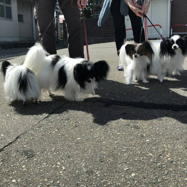 063e0a5b d06e 4f57 b9c0 9e67ff41527a 1534569431516