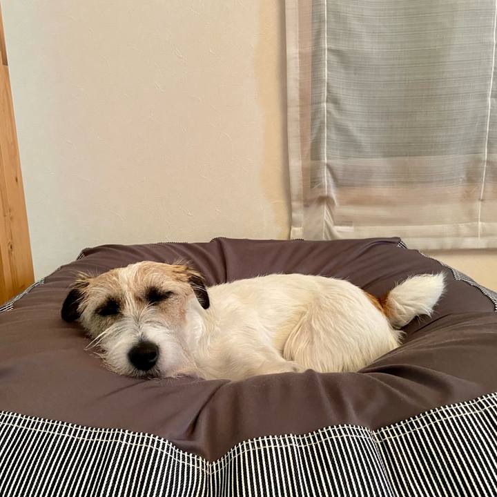 063e1c58 0962 4553 be39 92f7876b4408 1654647380948