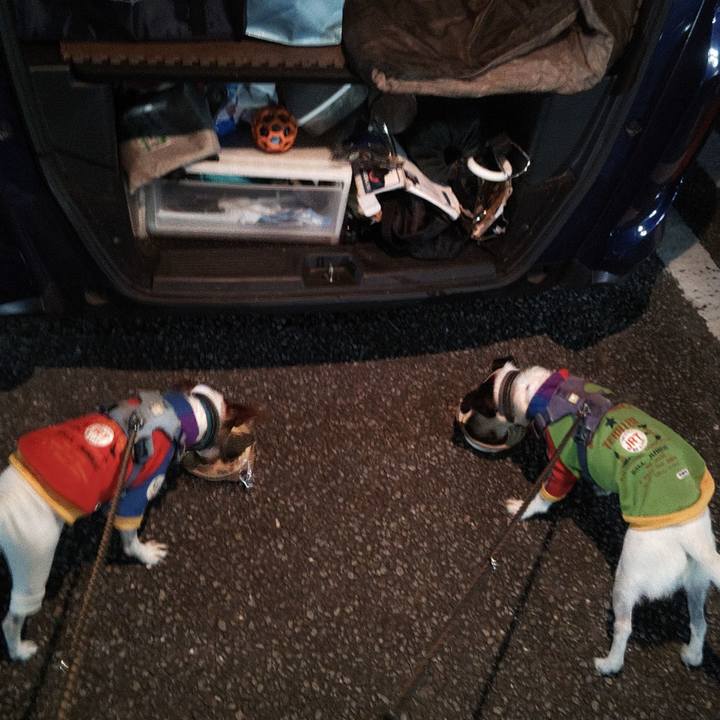 063e3936 a203 474f 84a1 9111dfddeb43 1762082369584