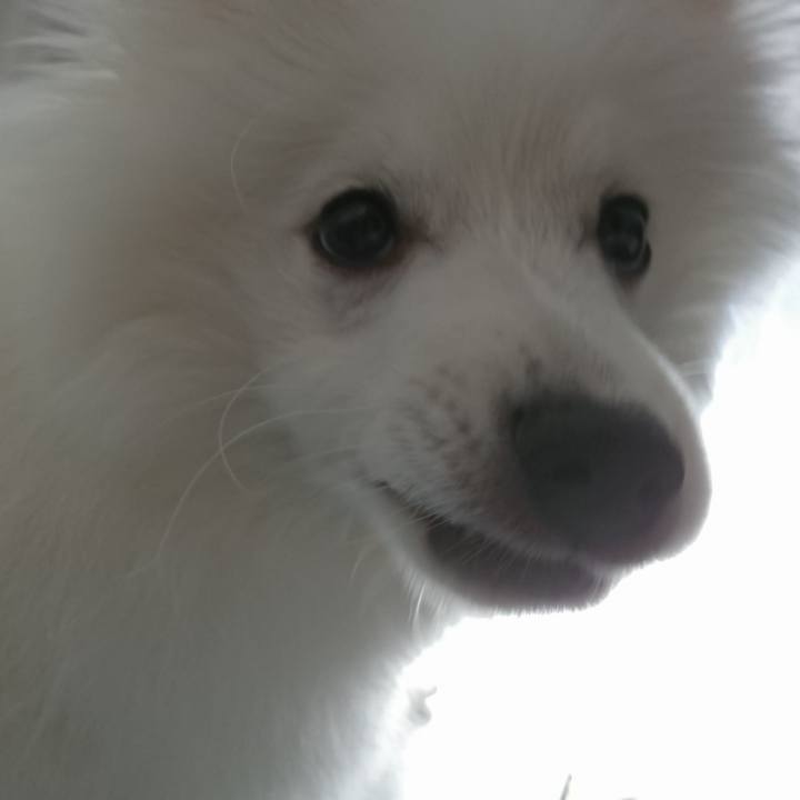 063e4d64 0836 498d a058 0fd21ace5b57 1552015828052