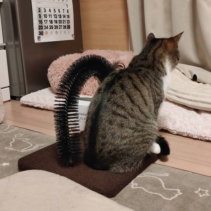 063e63a8 9986 4d88 b792 ed30b18c8099 1682679308976