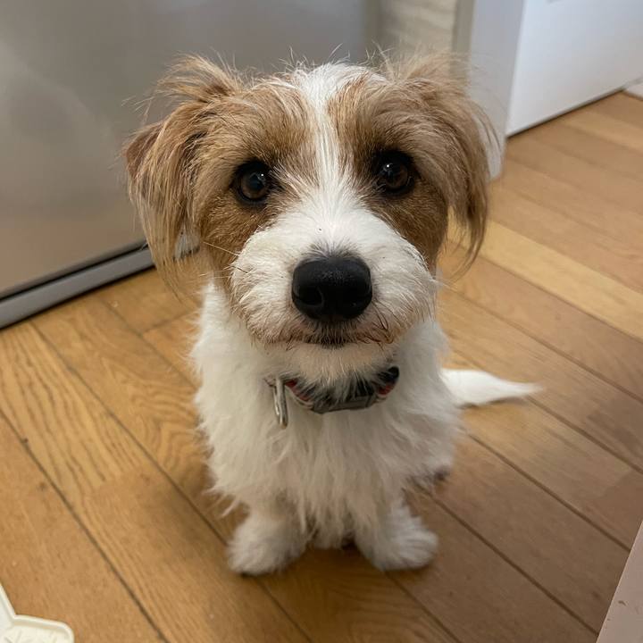 063ec426 cd9b 49bb b429 f69fd367483a 1766391092766