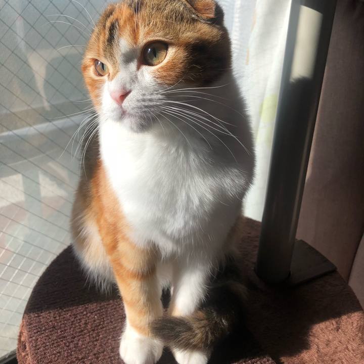 063ec657 e25b 4ac6 a5d6 d0ce00c12464 1518910719395