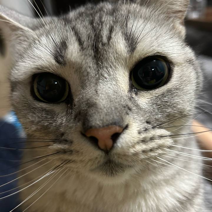 063ee16f 4214 4028 b31c 3f08da86314d 1678888656828