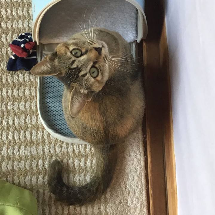 063f0192 5631 432f 8b1b ebdd0a9ed56a 1574227923656