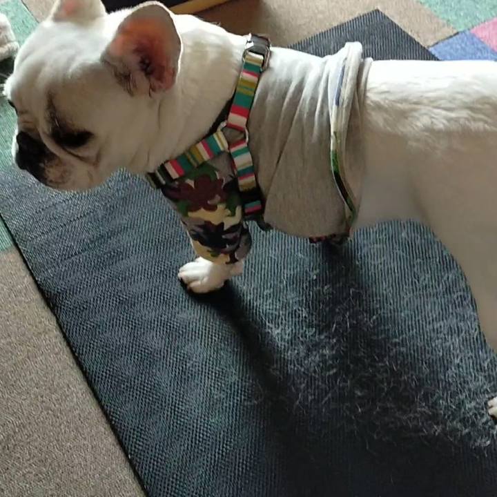 063f714e 1525 4964 a582 480b42541c97 1648420855294