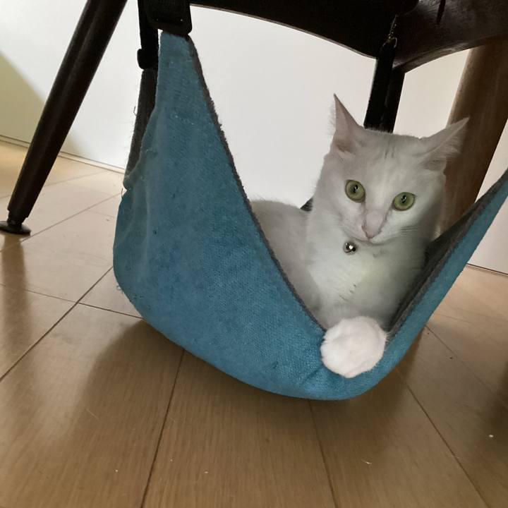 063fa19f 63a2 4fc9 b7e6 f639a4b4809c 1656200053668