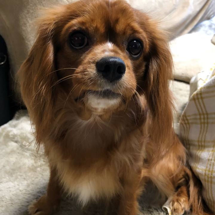 063fa35f 15d2 408e 839a 02ffa0bed67b 1524388437179