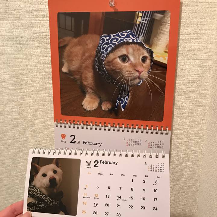 063fd36f cb6c 4047 914e 36d139512b6d 1517439115854