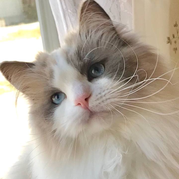 063fdabc 67cf 4838 acc1 ef90be921cee 1593866021415