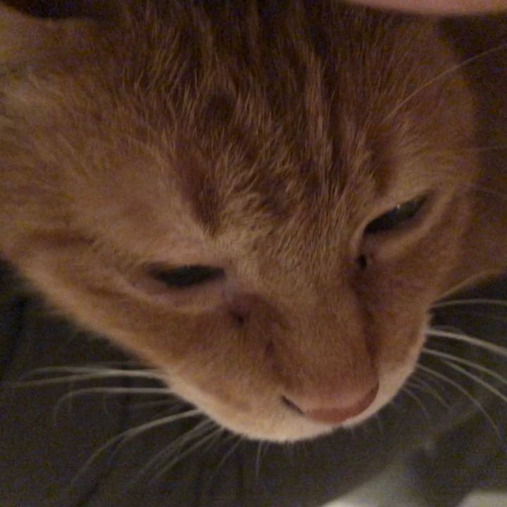 06403d4f aa03 423d aaf5 8dbb5e5bb379 1670938147646