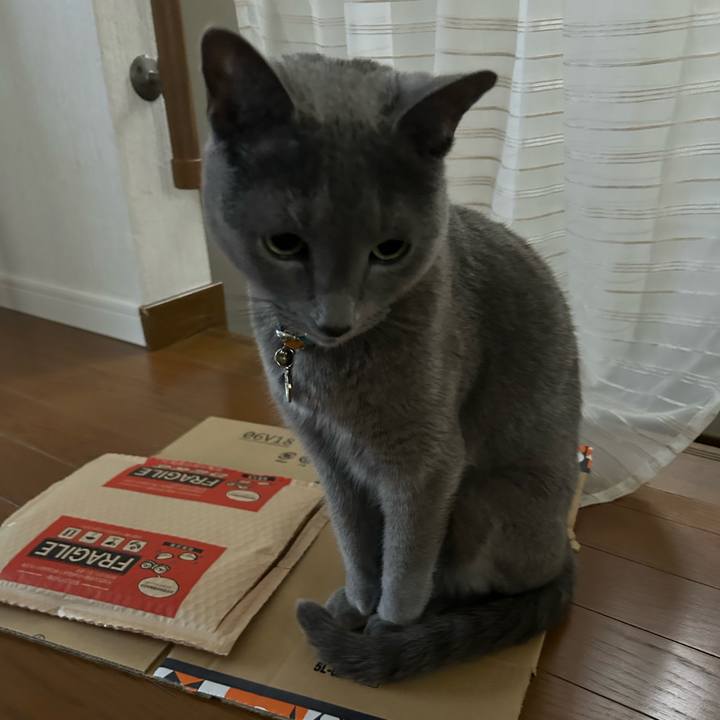 06404ed8 5ff5 4cde ab7c a0a7204aab8c 1766710594120