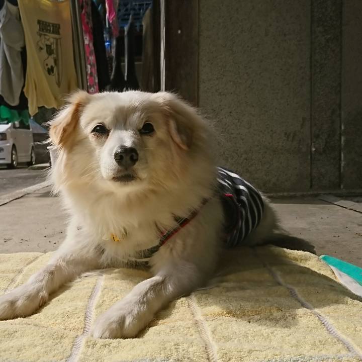 0640506c 8f19 45d0 81a3 d0b7321ef8dc 1550806585266