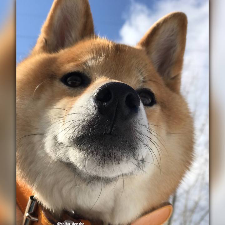 06405094 4a35 42ca affd 459569bf59dc 1525951108153