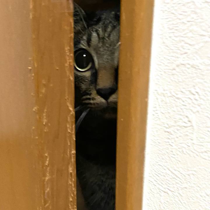 06405143 16a4 4934 bbce 406c8a0a07dc 1663326806319