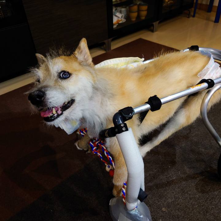 064067e8 6f07 4669 b146 10d67ed9cf6d 1664273936939