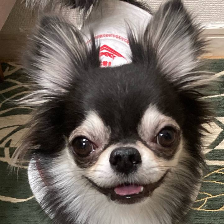 0640938a 4148 4402 932b 6bd727852f69 1644759968408