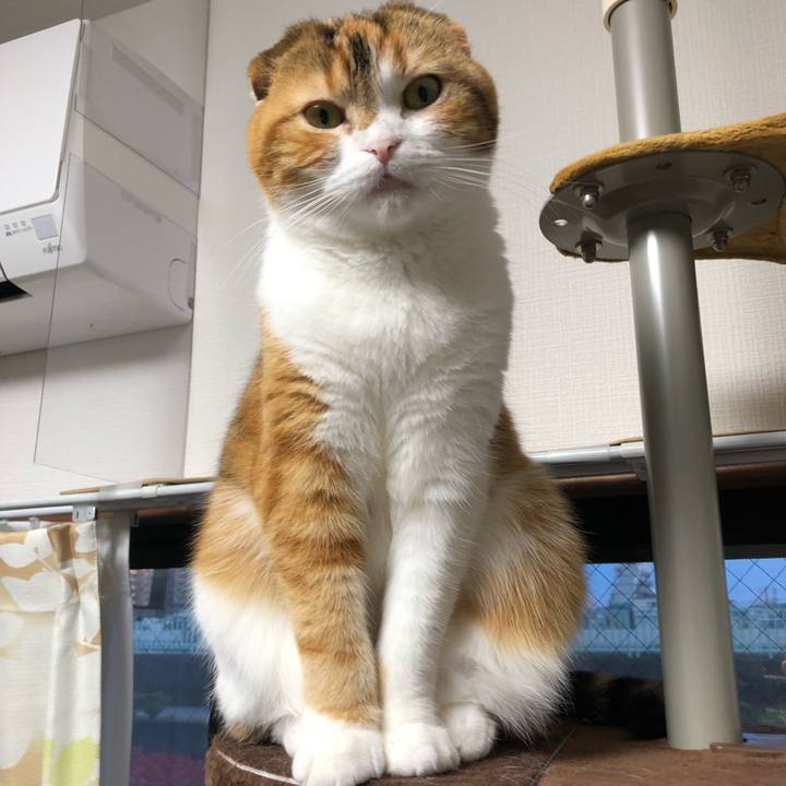 0640add8 d0f5 4940 bb6e 61c8d1ee3c72 1554022681222