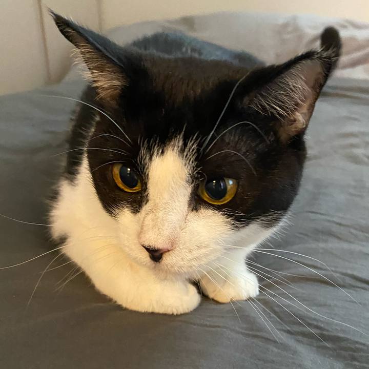 0640d7ab ad59 4afe b2fe 29daab690be3 1756555745657