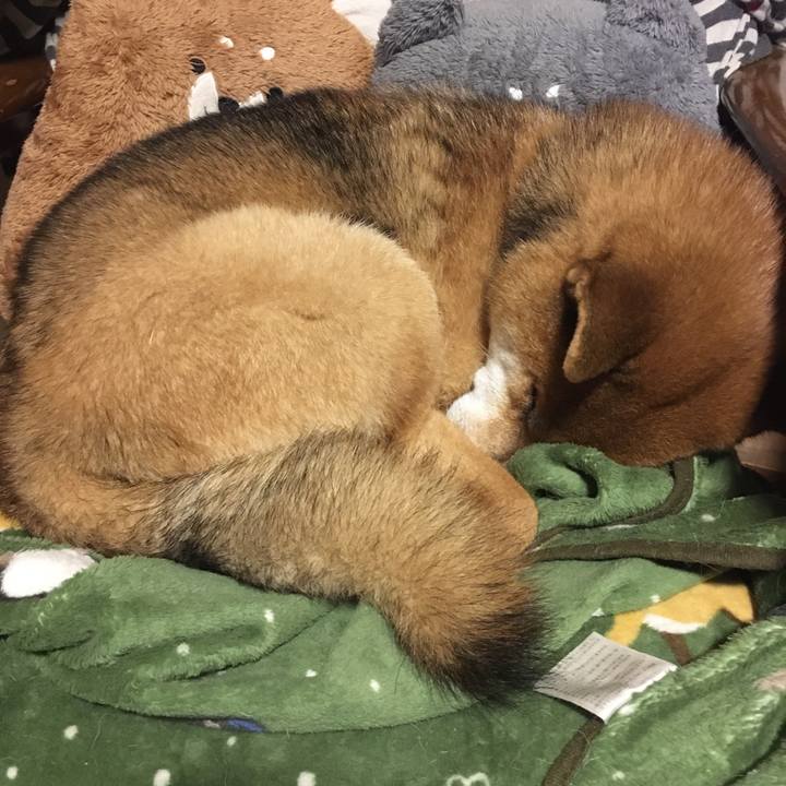 064129c7 a41b 40c3 89d8 983283d4e325 1629028661844