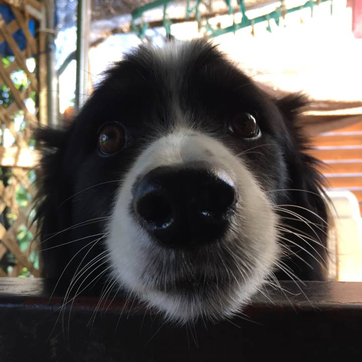 06416924 9737 4fef ba10 406304664ae4 1570755396768