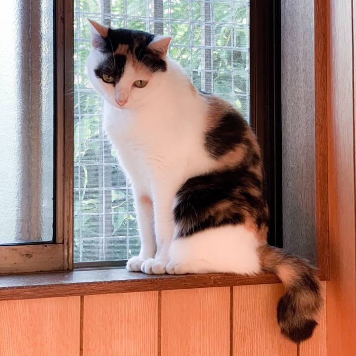 06417e62 3e6c 4615 ba93 2592b6ff9c30 1572143029624