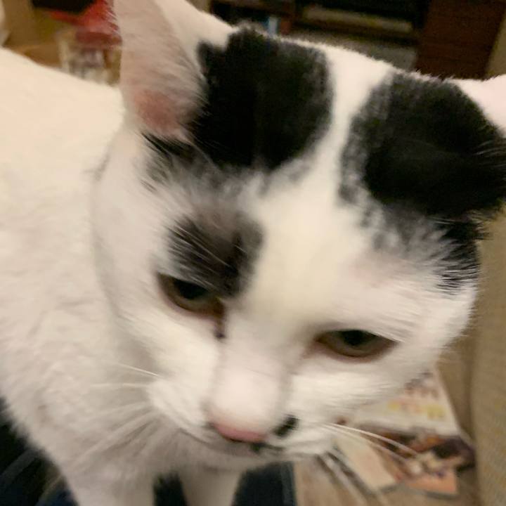 06418f6d 390b 4531 b532 9910885cd152 1613180713603