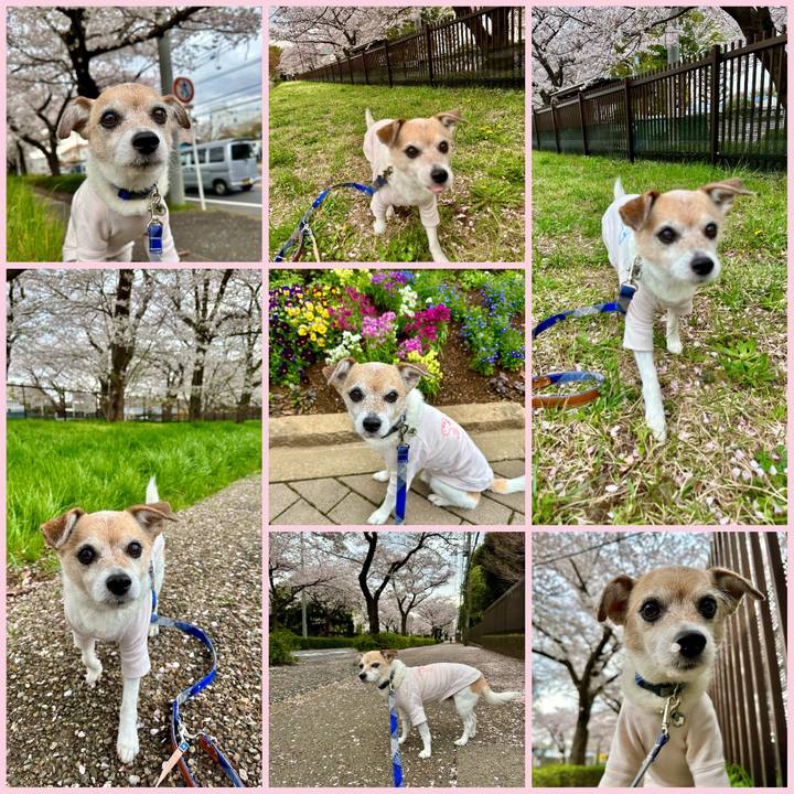 06418fb9 61d4 4b02 b23e 82a0288b4e9b 1679904036619