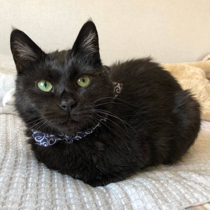 06419bb6 481d 444c a88e f474cf64ac0e 1585964685331