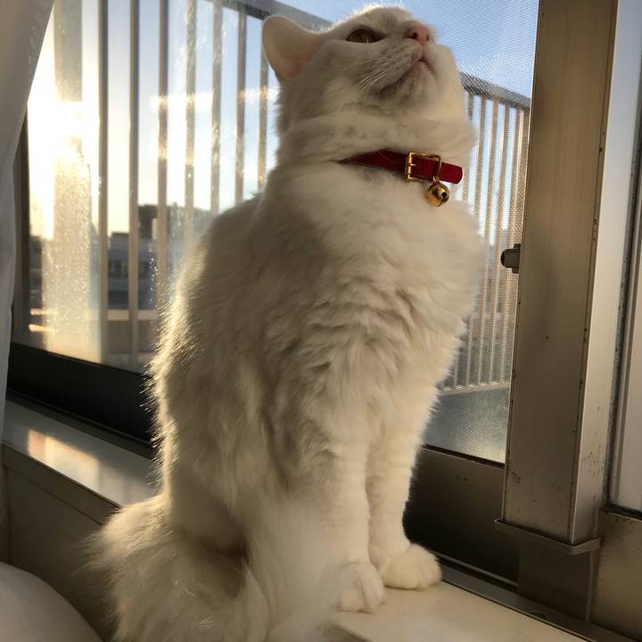 0641a495 427e 44f5 a37f c2f014276f5e 1515036707057