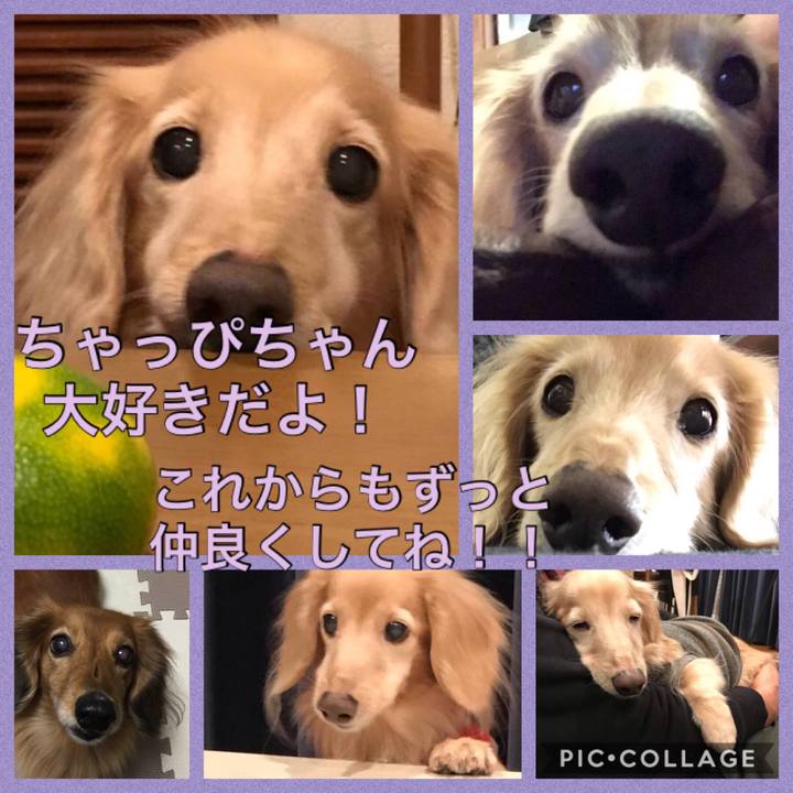 0641a82d 52e0 40f2 ae32 3b9242866dca 1547647653196