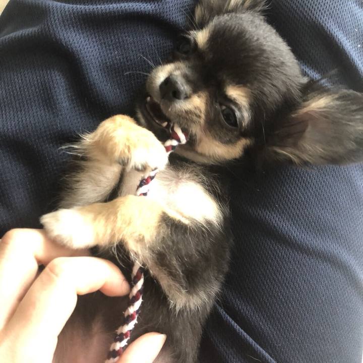 0641b8bc b111 43f2 992a a68f6f06634c 1535455246616