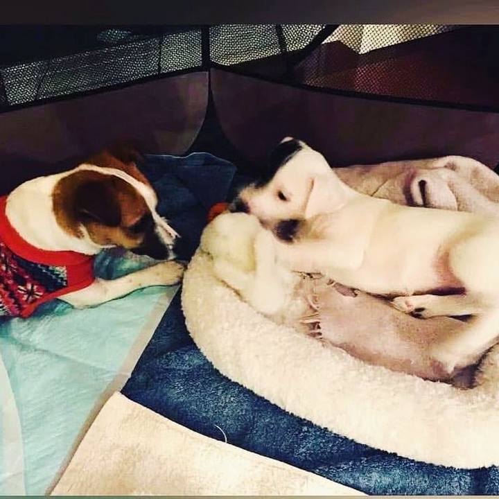 0641eac1 8c80 4f22 9402 2d993080f2c2 1738880071987