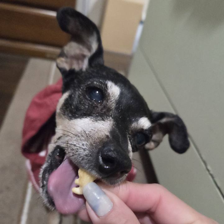 0641f207 d4cc 4904 9cea 49012d03d03b 1772222346857