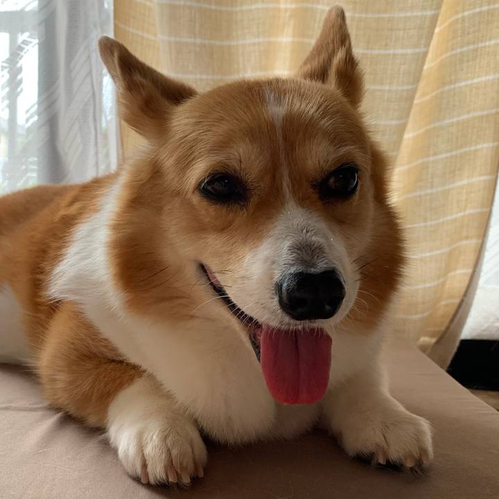 06420498 ad4a 4dfb a1df 86e25003152c 1655001849844