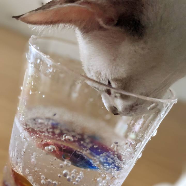 0642186f 48a2 41cb 8814 f85b8f831209 1691275989518