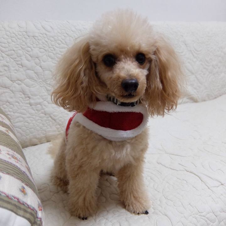 06423198 d061 4f78 a200 adb32951ff49 1511076834637